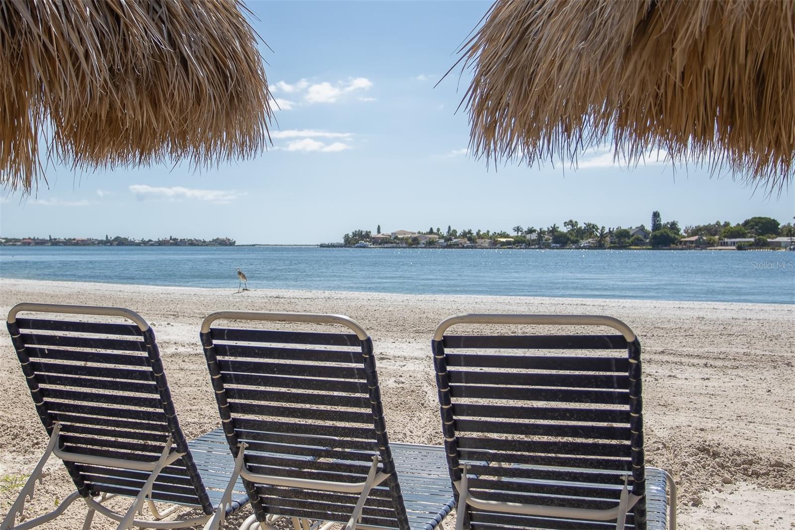 5701 BAHIA DEL MAR CIR #408 — photo 42