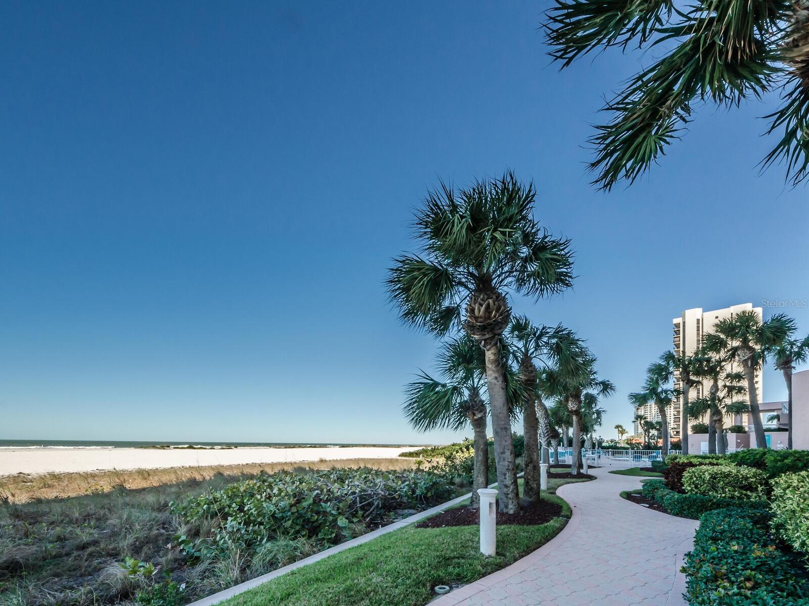 1310 GULF BLVD #Penthouse A — photo 42