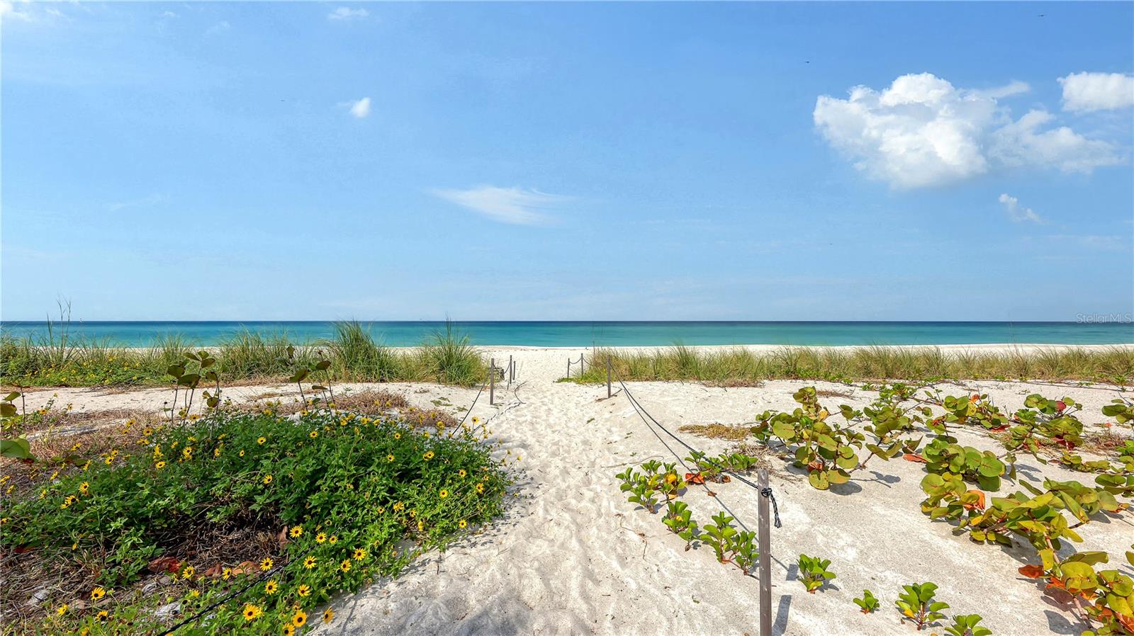 4825 GULF OF MEXICO DR #504 — photo 28