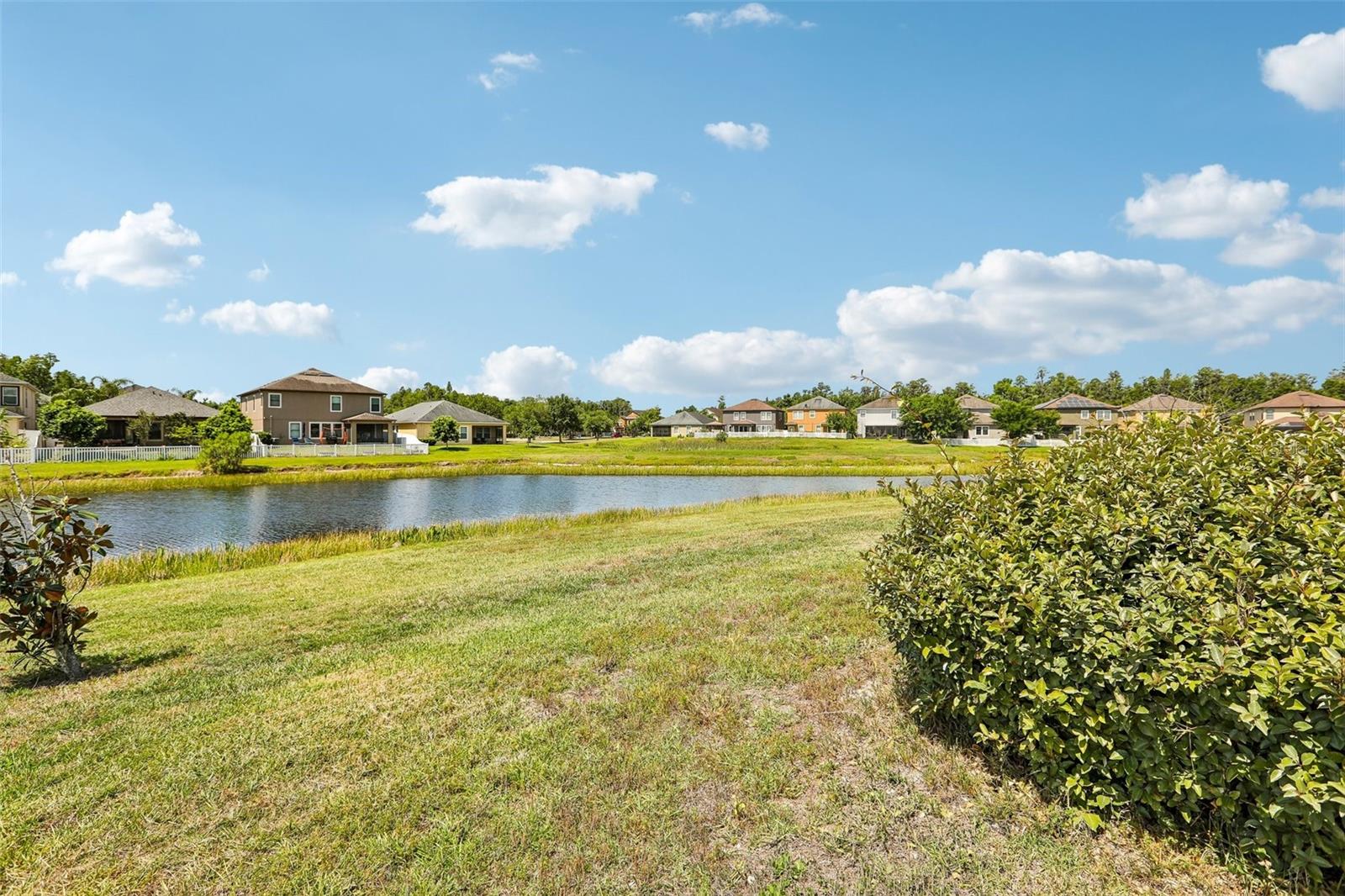 19417 PADDOCK VIEW DR — photo 46