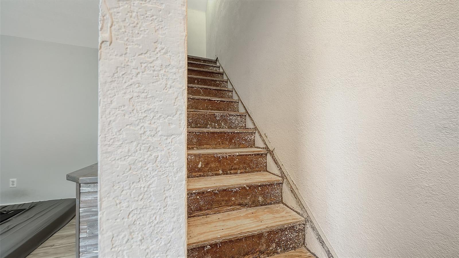 420 KUMQUAT CT — photo 32