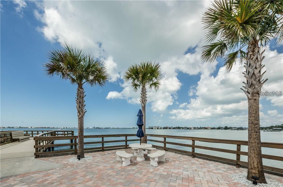 100 BLUFF VIEW DR #308A — photo 28