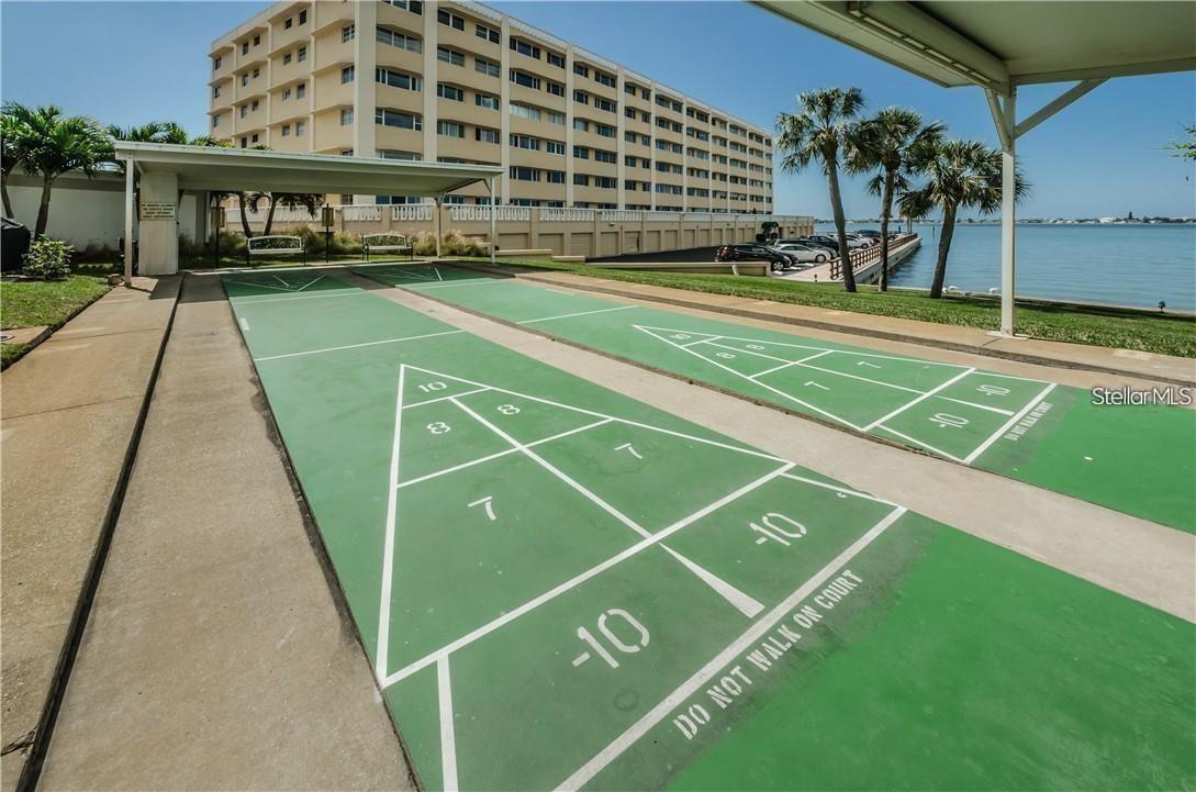 100 BLUFF VIEW DR #308A — photo 25