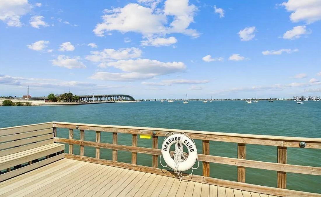 100 BLUFF VIEW DR #308A — photo 29