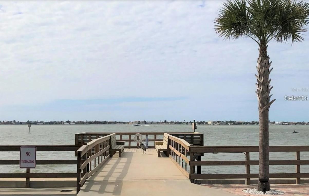 100 BLUFF VIEW DR #308A — photo 32