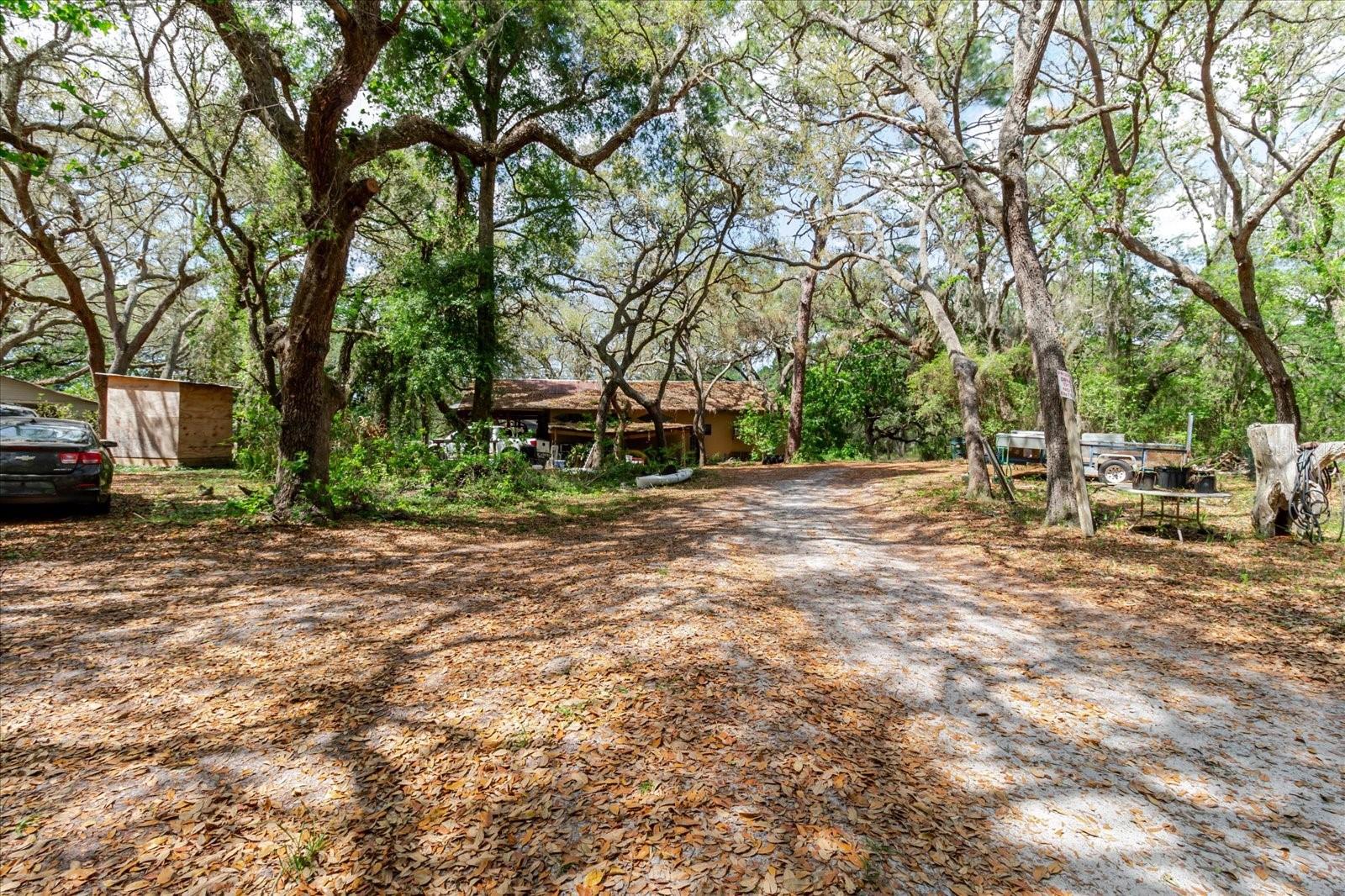 12531 LITTLE PETE CT — photo 14