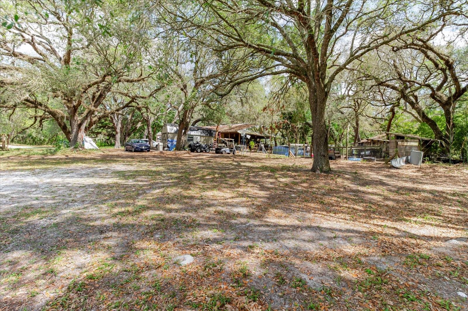 12531 LITTLE PETE CT — photo 12