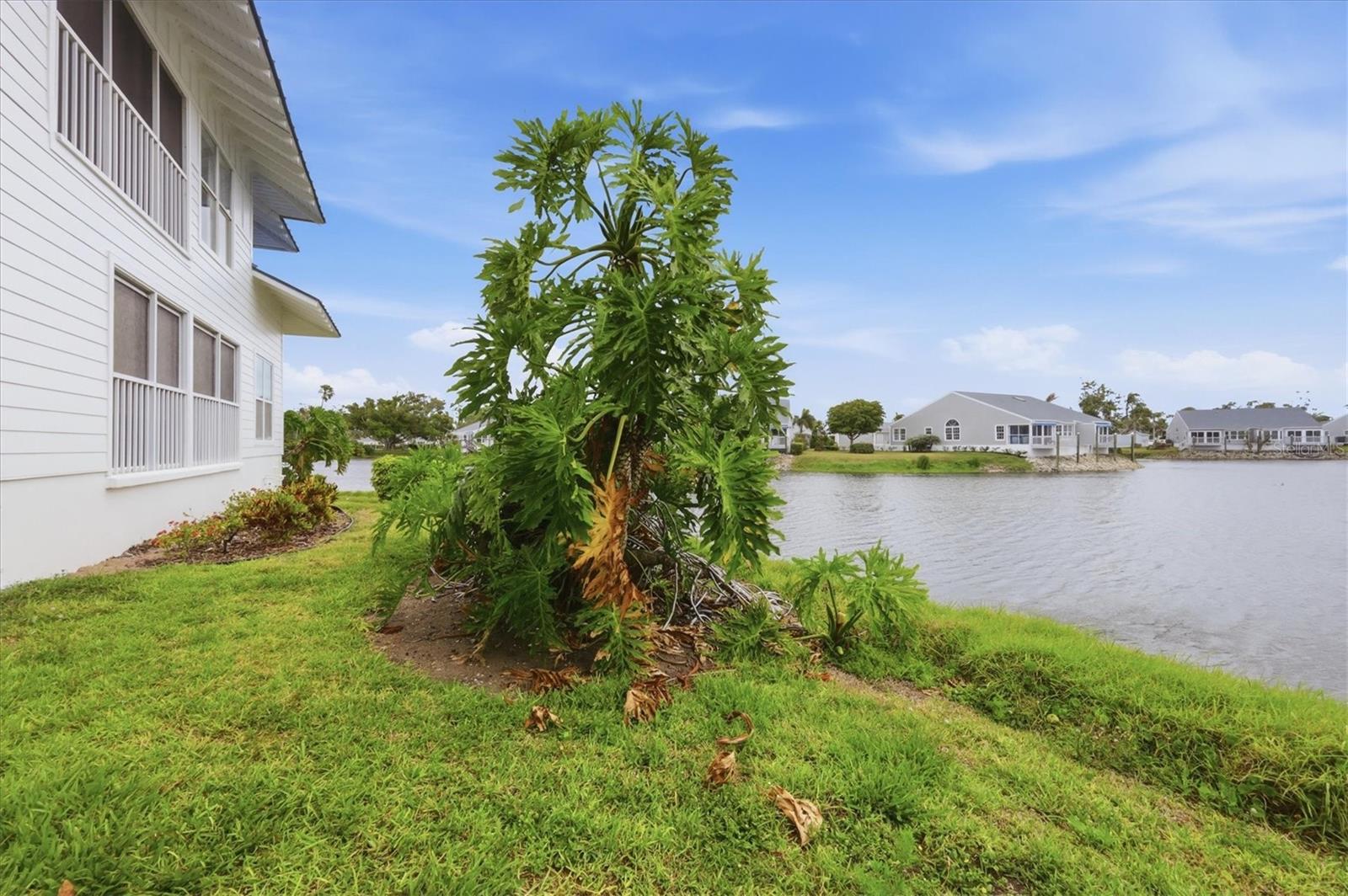 972 SANDPIPER CIR #972 — photo 38