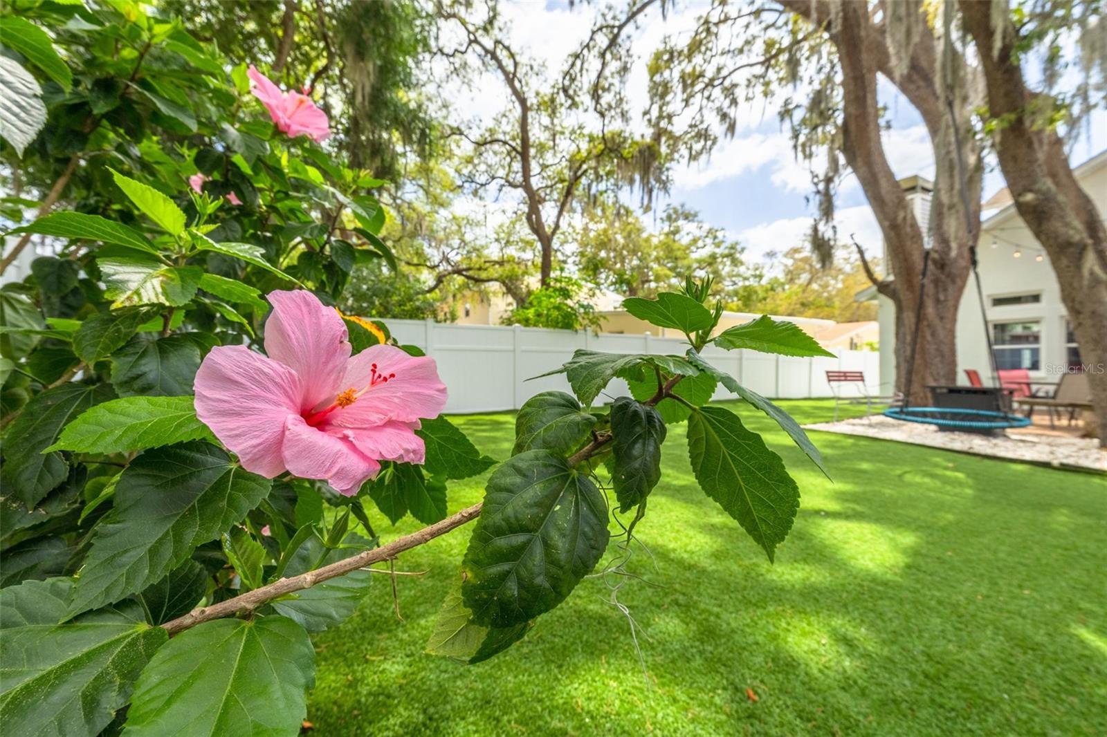 901 VIRGINIA AVE — photo 4