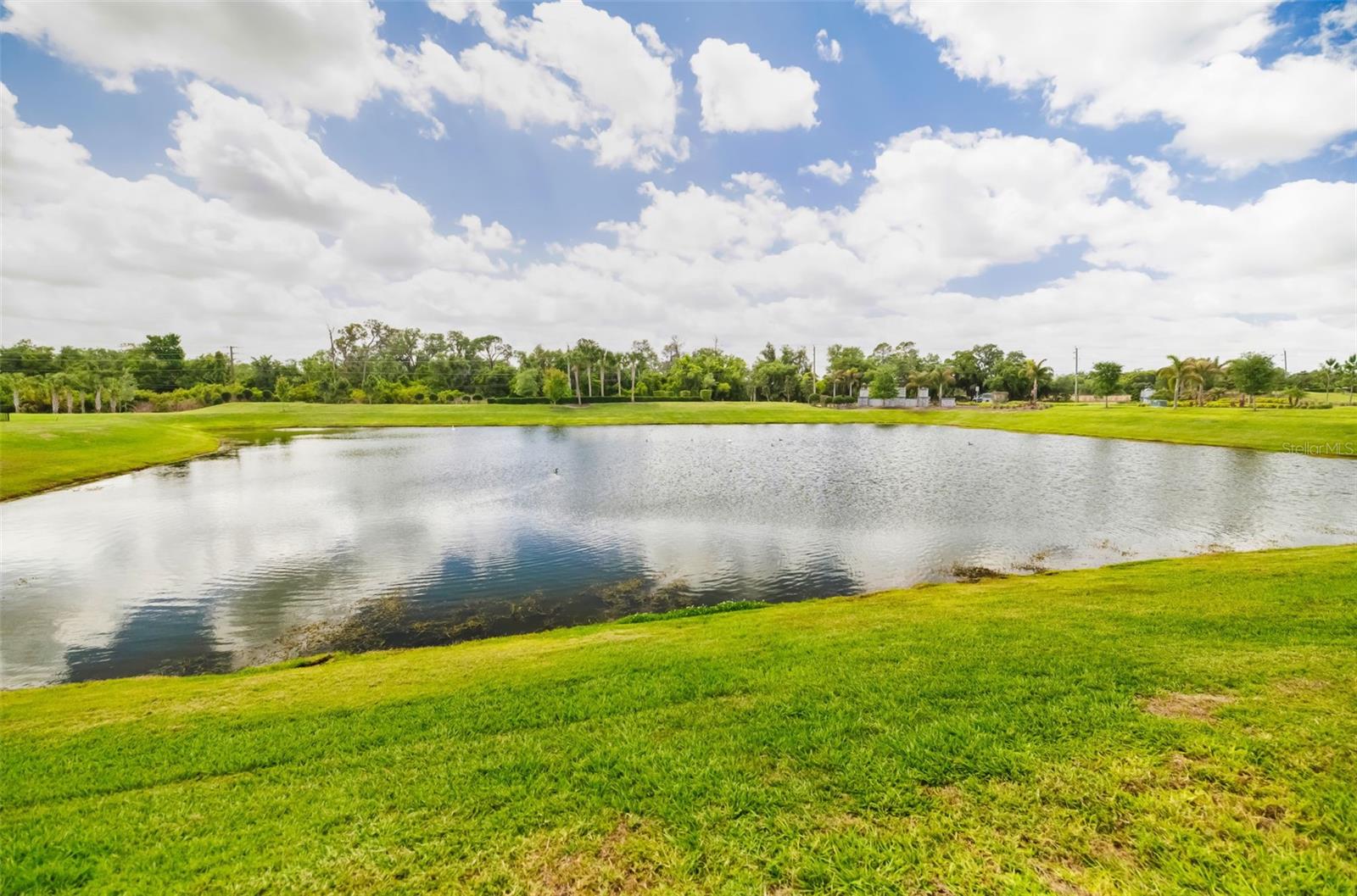 14086 GINNIE SPRINGS WAY — photo 30