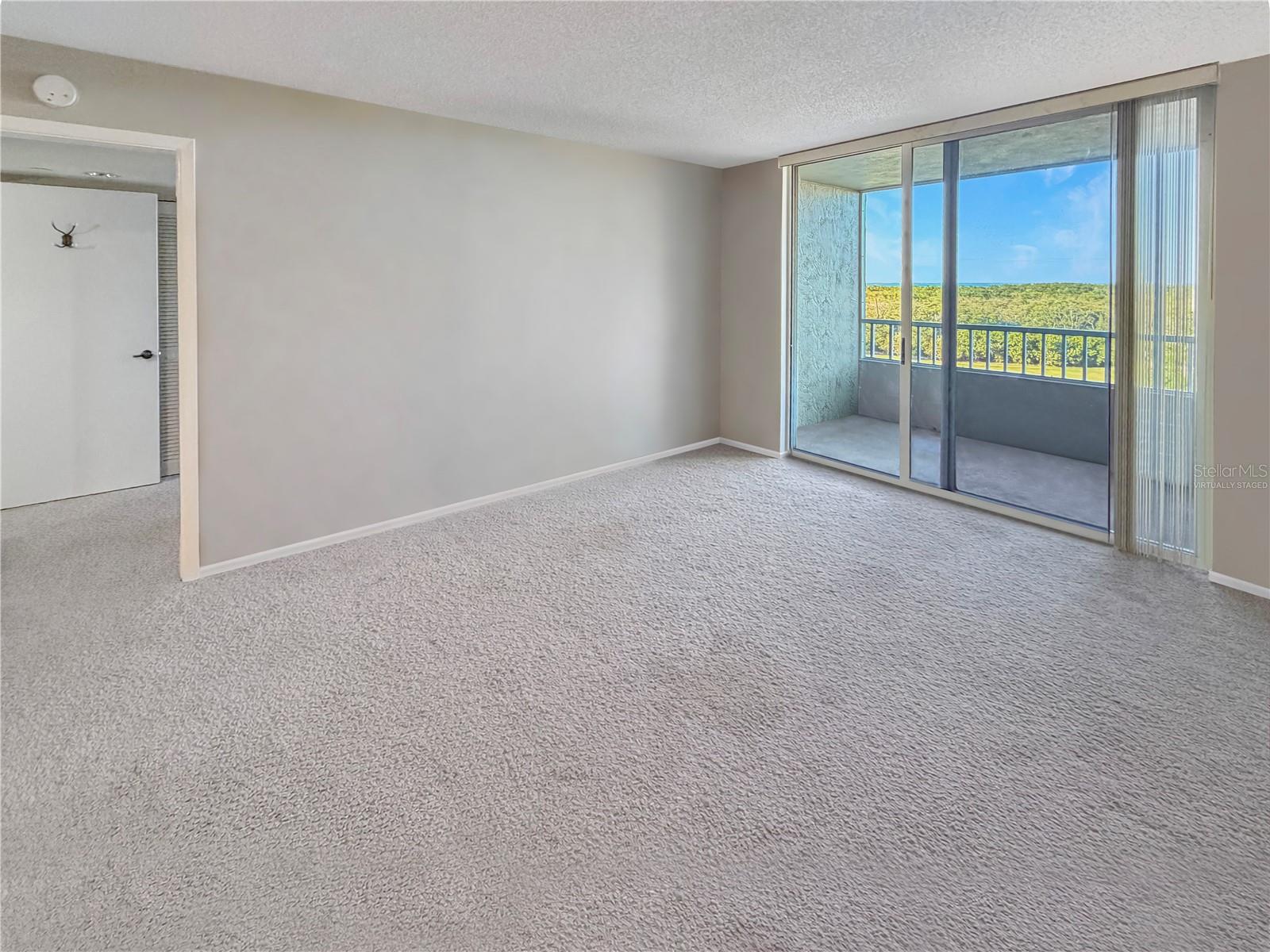 2333 FEATHER SOUND DR #C507 — photo 6