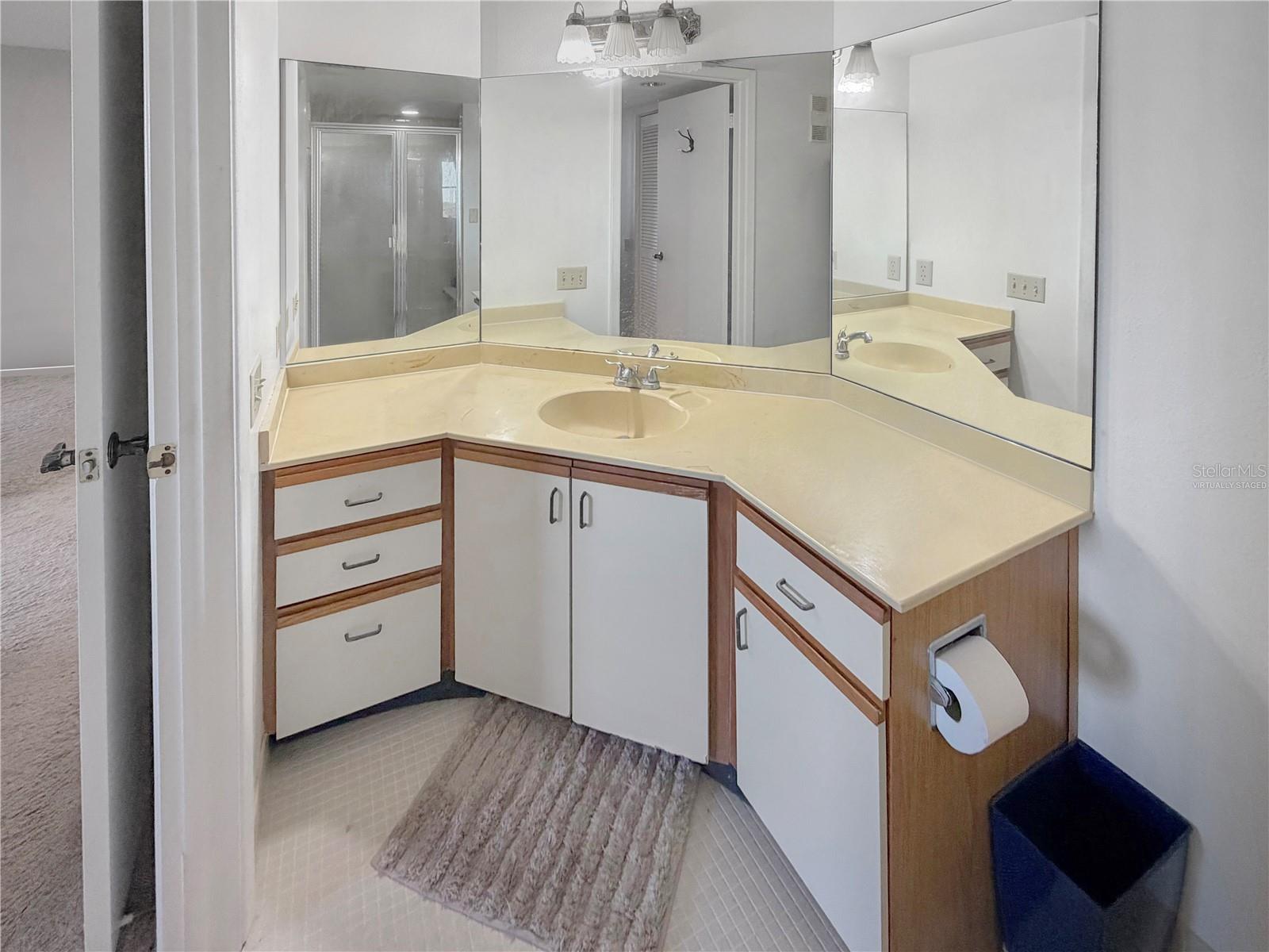 2333 FEATHER SOUND DR #C507 — photo 11