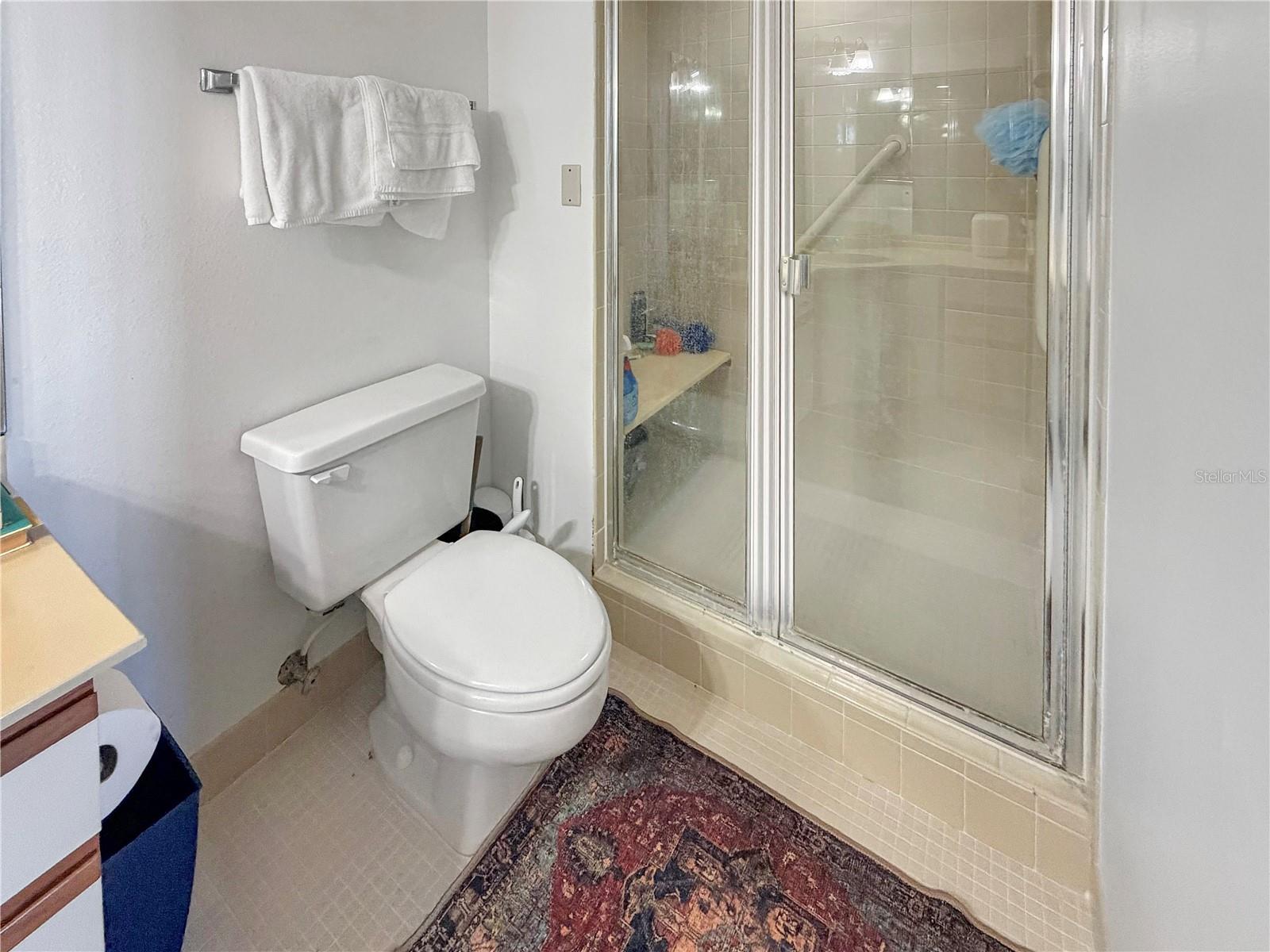 2333 FEATHER SOUND DR #C507 — photo 12