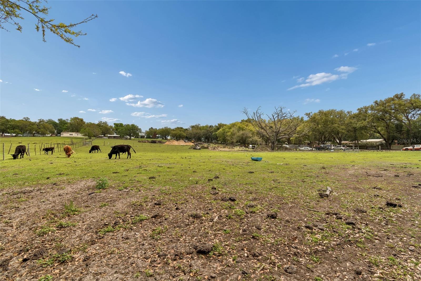 8236 WIRE RD — photo 18