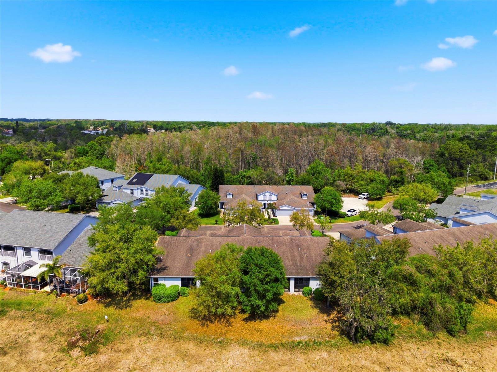 11214 PORT DOUGLAS DR — photo 38