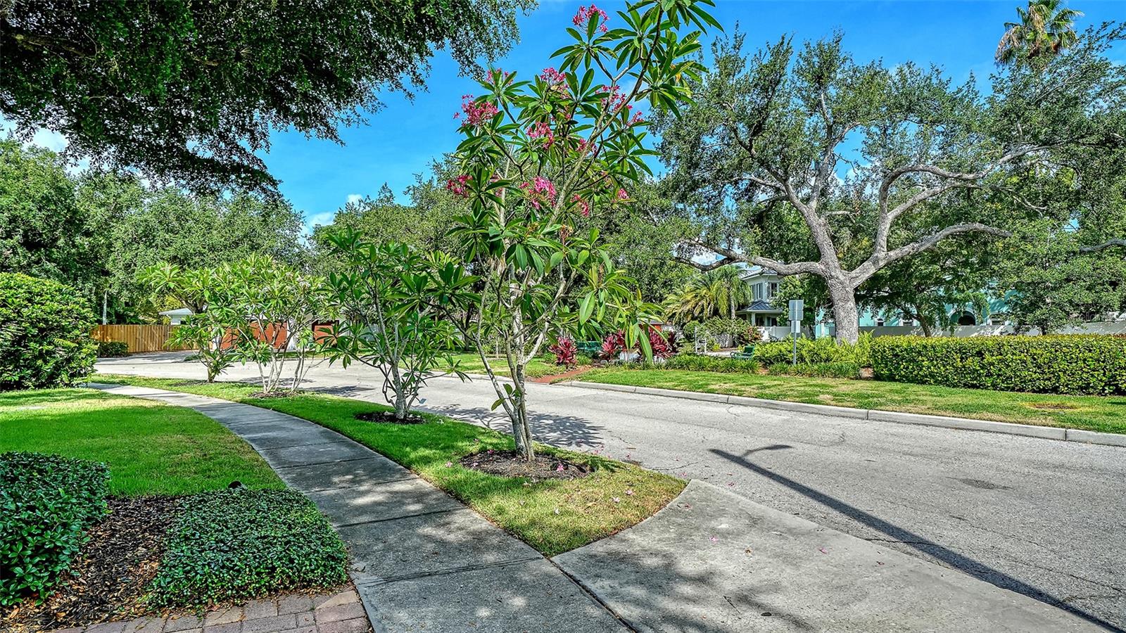 1704 FORTUNA ST — photo 49