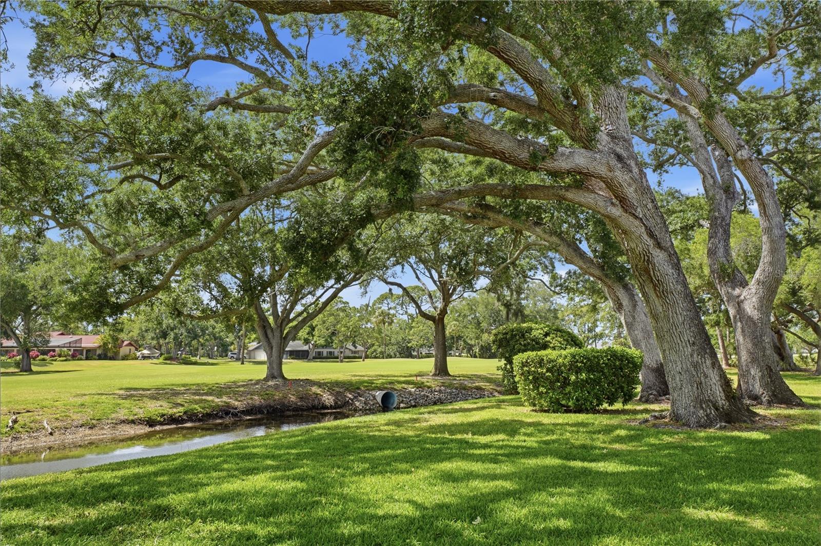 7860 PALM AIRE LN #103 — photo 4
