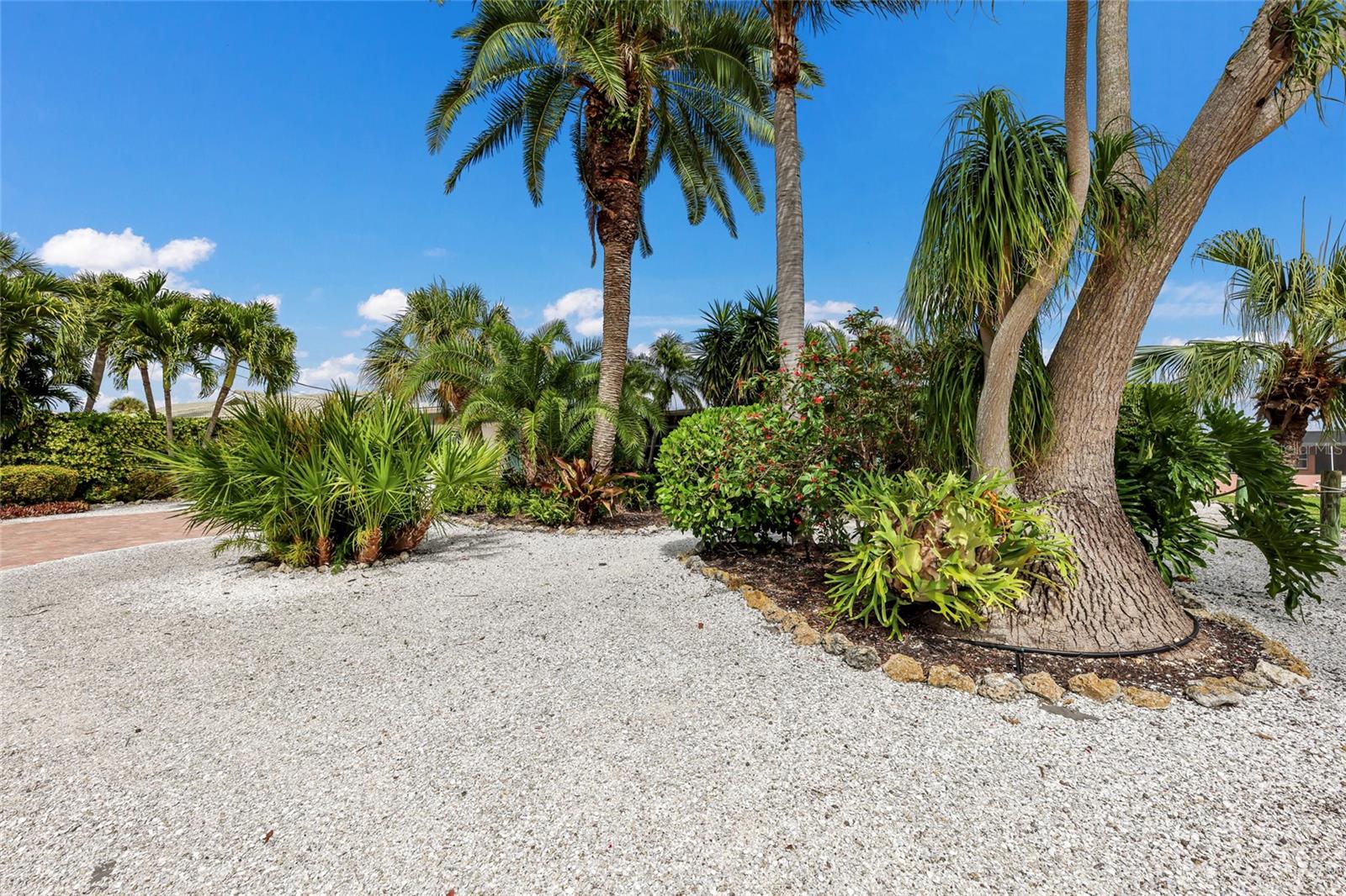 5007 BIMINI DR — photo 33