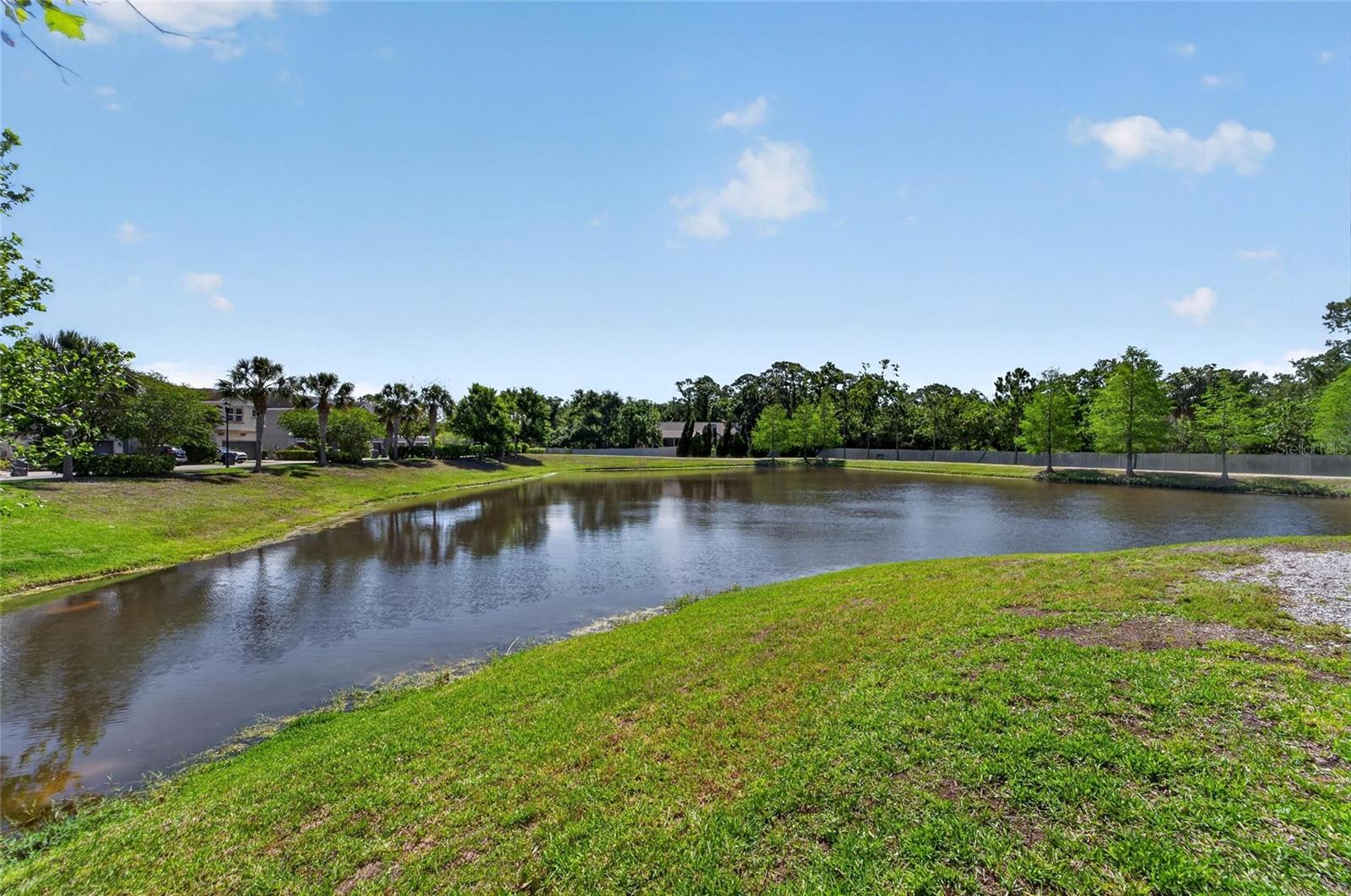 8108 MUDDY PINES PL — photo 69