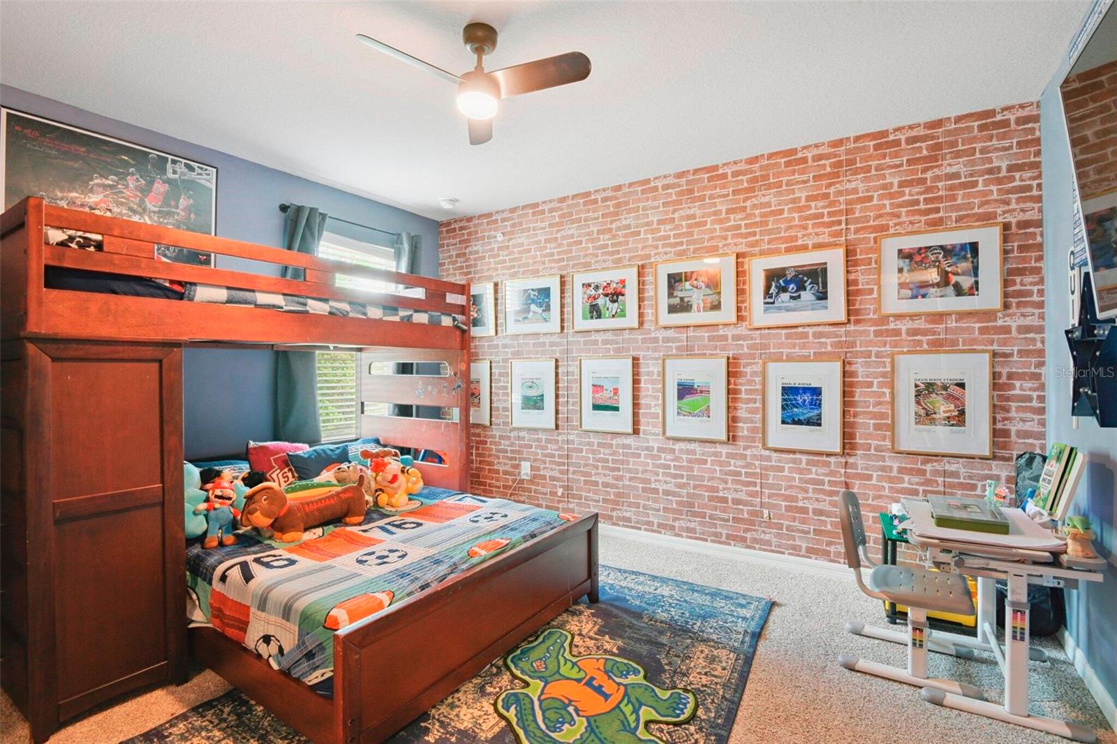 3610 RADIANT MOUNTAIN DR — photo 23