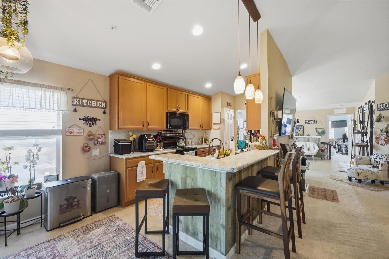 2111 RIVER TURIA CIR — photo 11