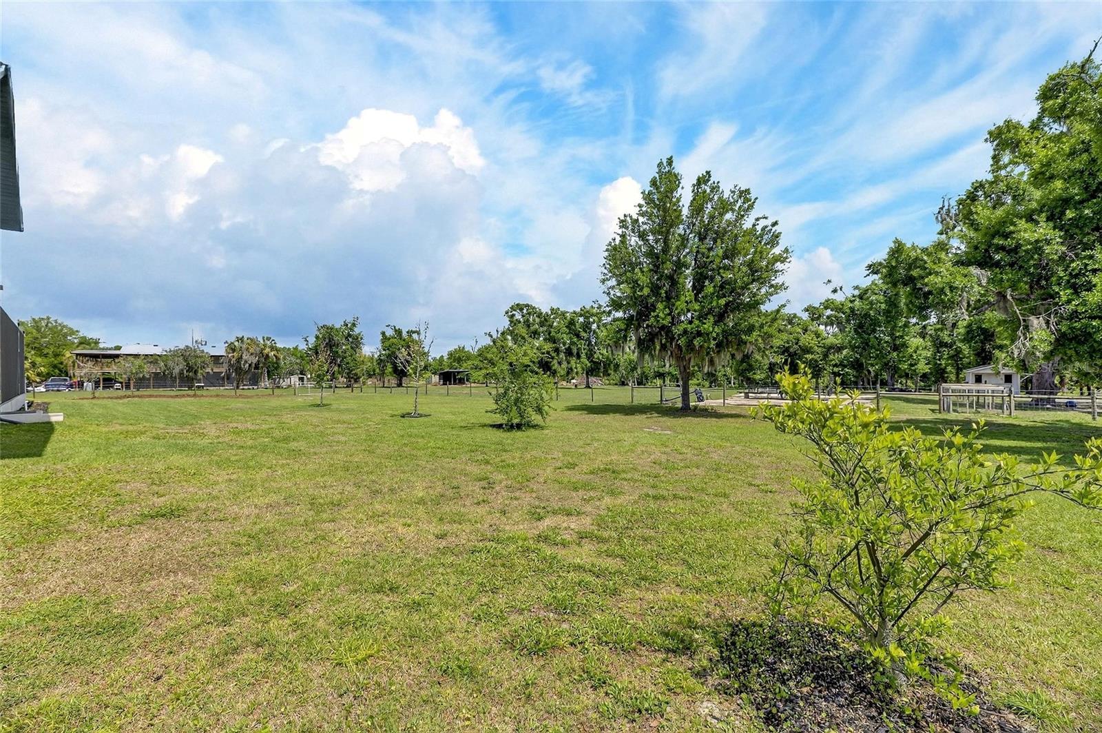 16410 ALDERMAN TURNER RD — photo 83