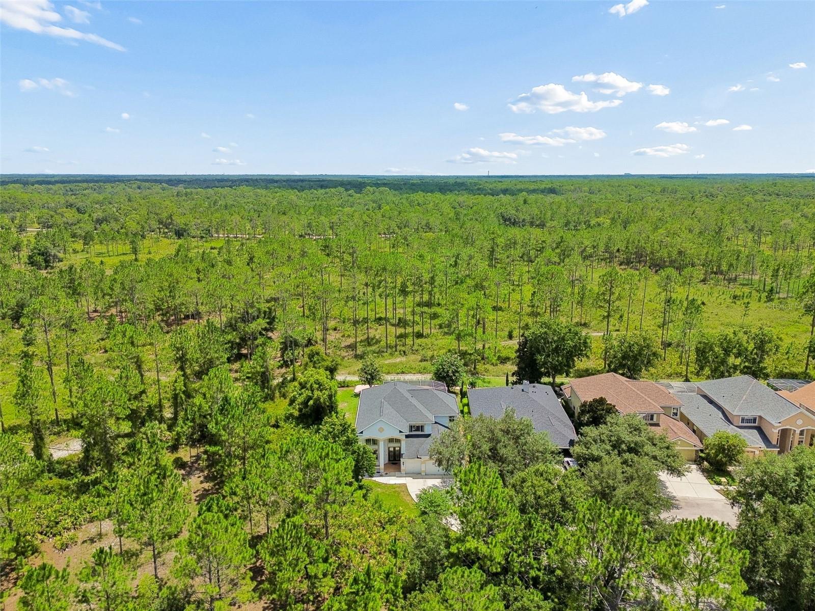 10102 DEERCLIFF DR — photo 81