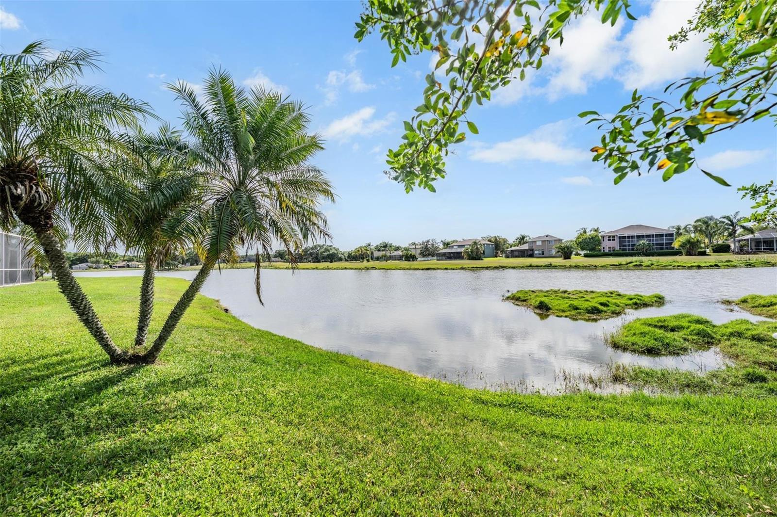15922 MUIRFIELD DR — photo 39