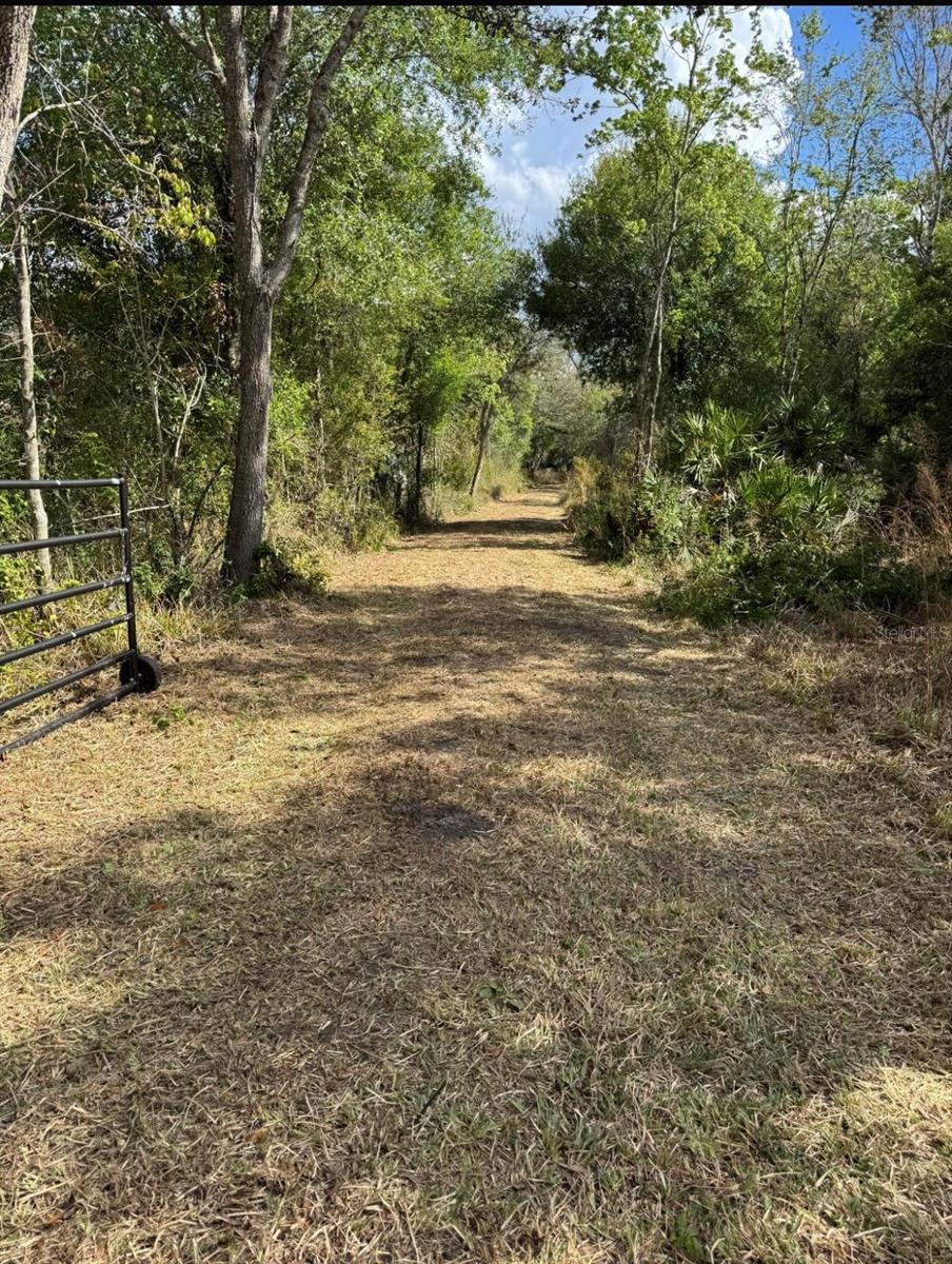 36564 SINGLETARY RD — photo 20
