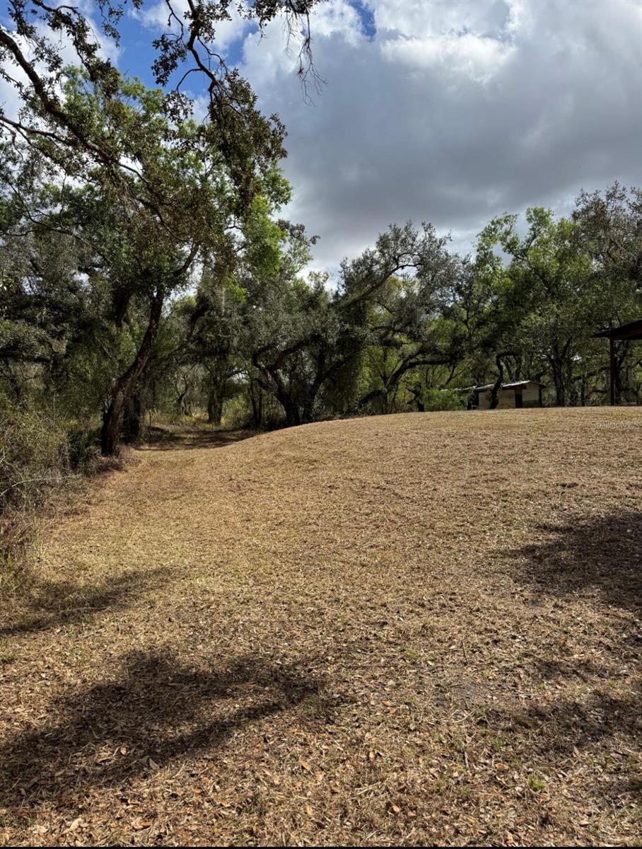 36564 SINGLETARY RD — photo 16