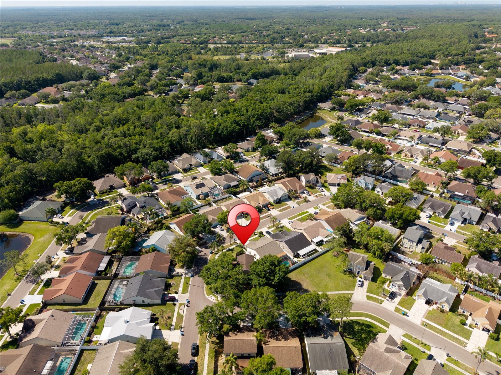 9758 FOX HOLLOW RD — photo 43