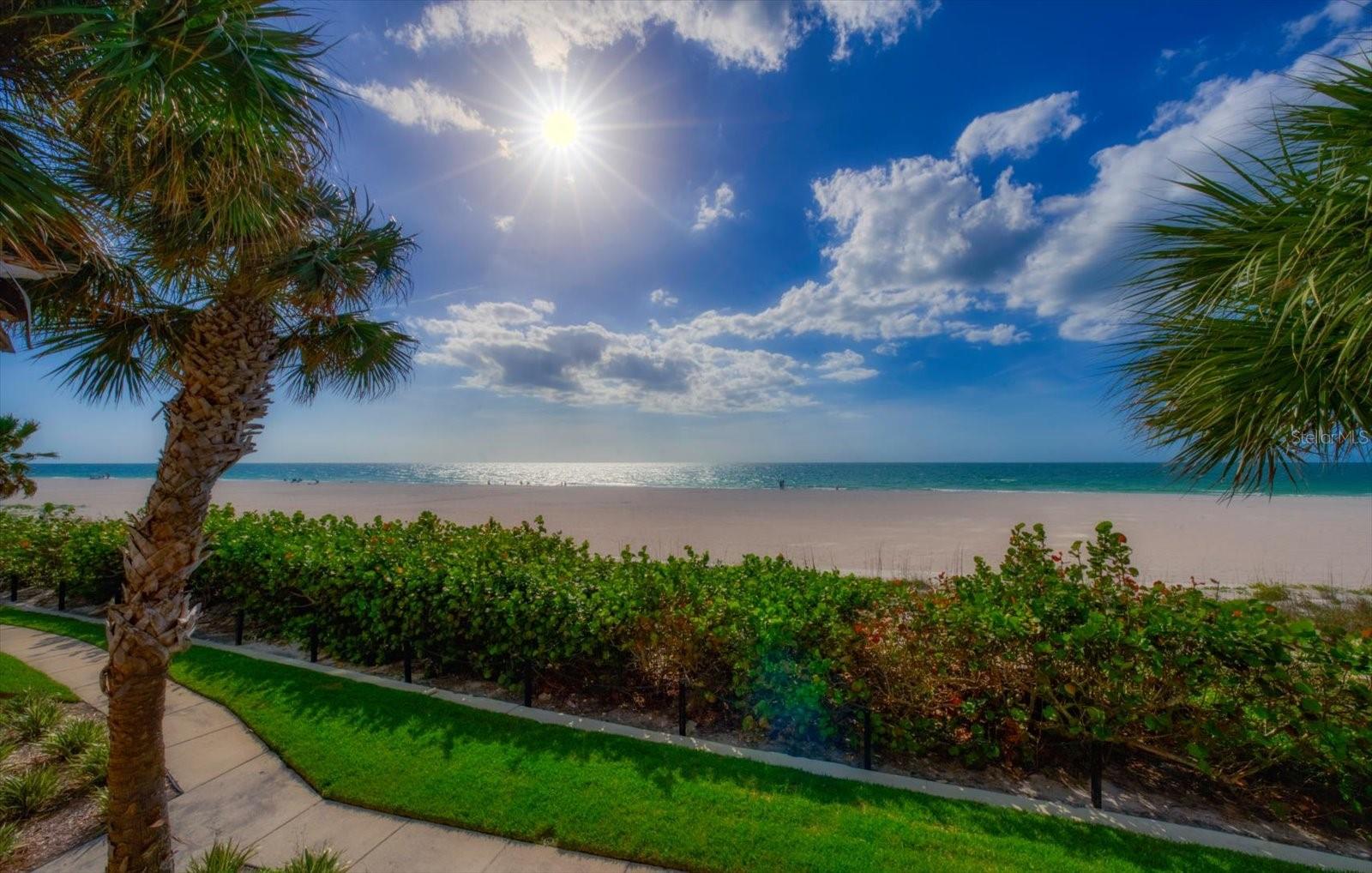 1560 GULF BLVD #304 — photo 40