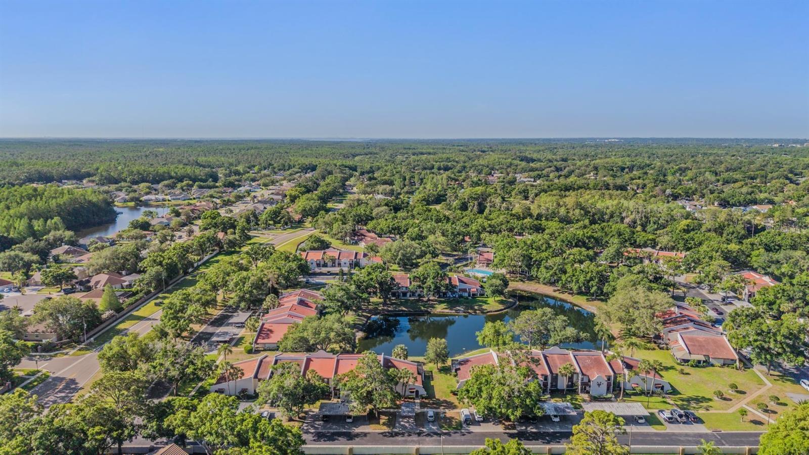 3505 TARPON WOODS BLVD #N401 — photo 32