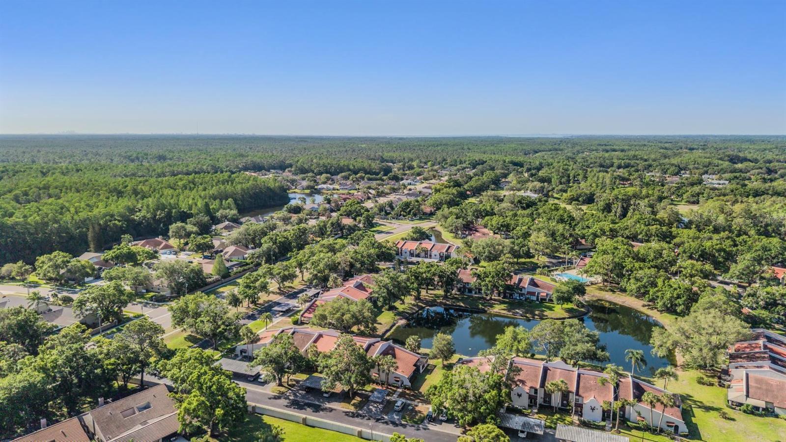 3505 TARPON WOODS BLVD #N401 — photo 31