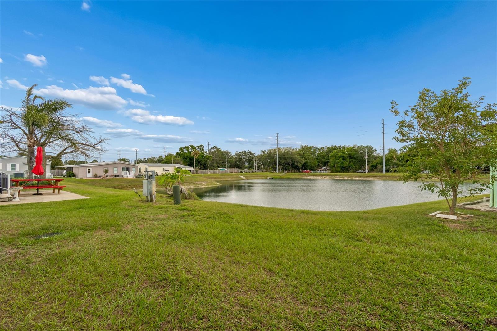 37644 PINATA AVE — photo 8