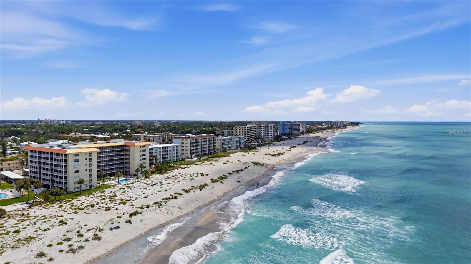 1150 TARPON CENTER DR #304 — photo 46