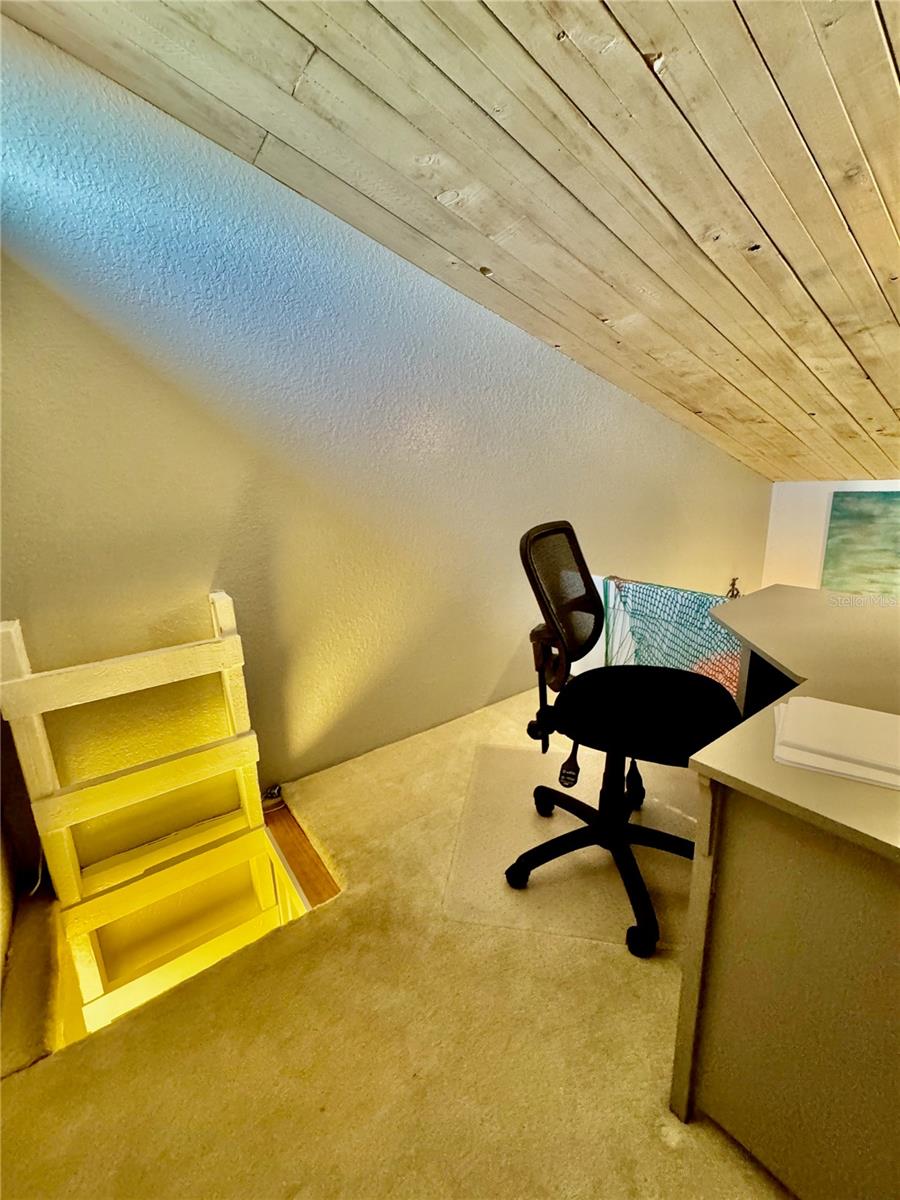 513 HAVEN POINT DR — photo 61