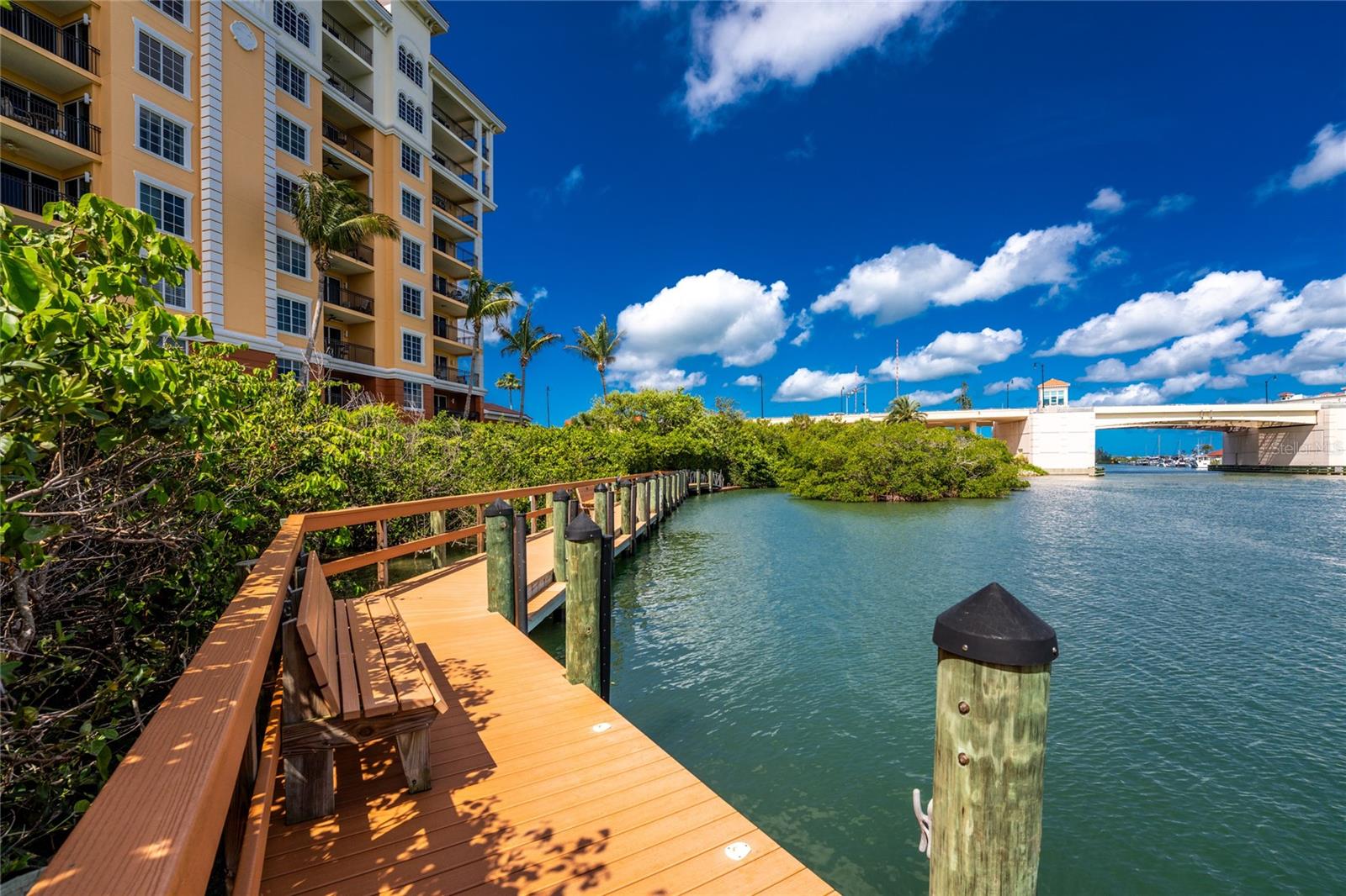 167 TAMPA AVE E #513 — photo 61