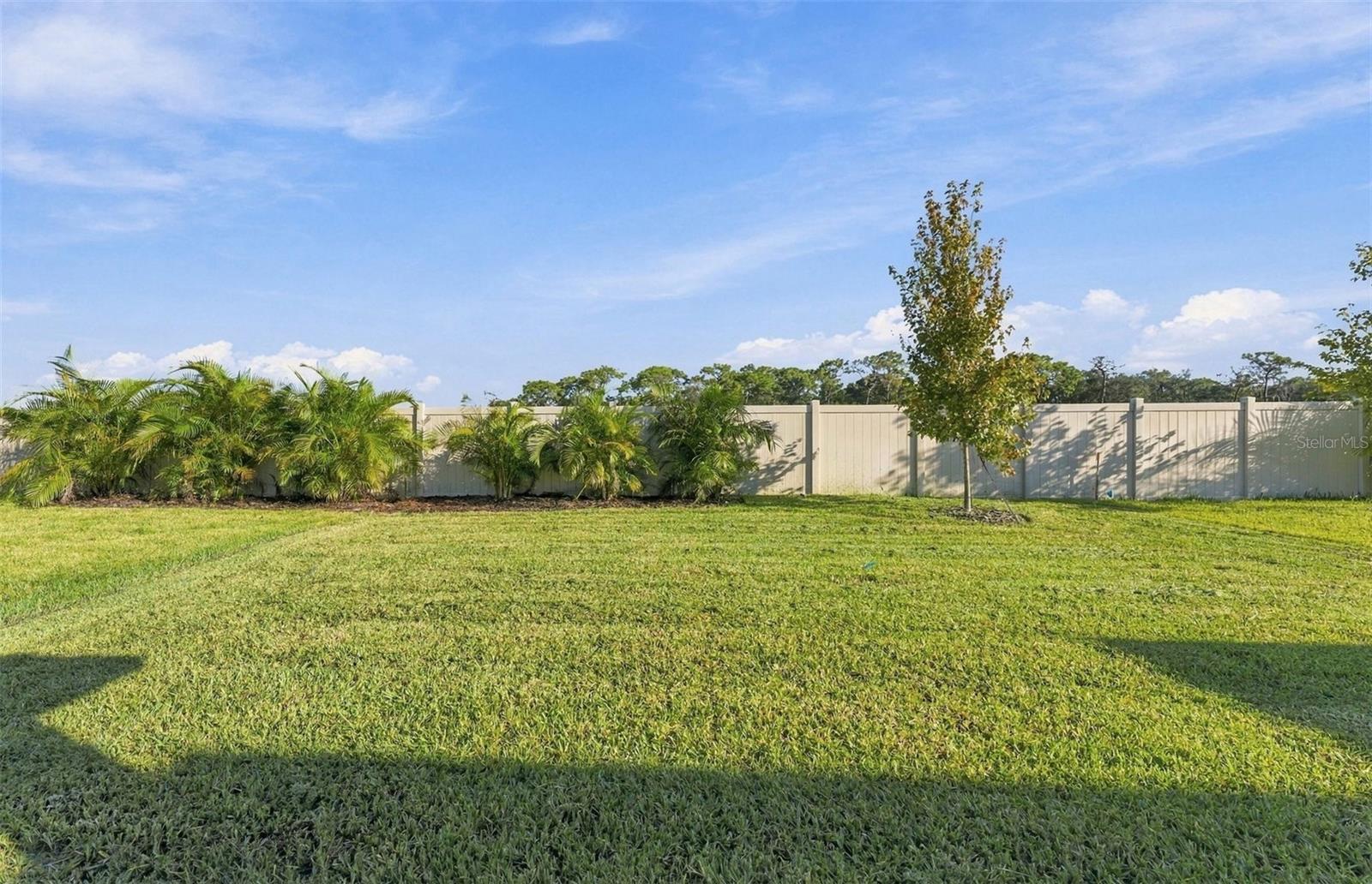 9748 CRESCENT MOON DR — photo 22