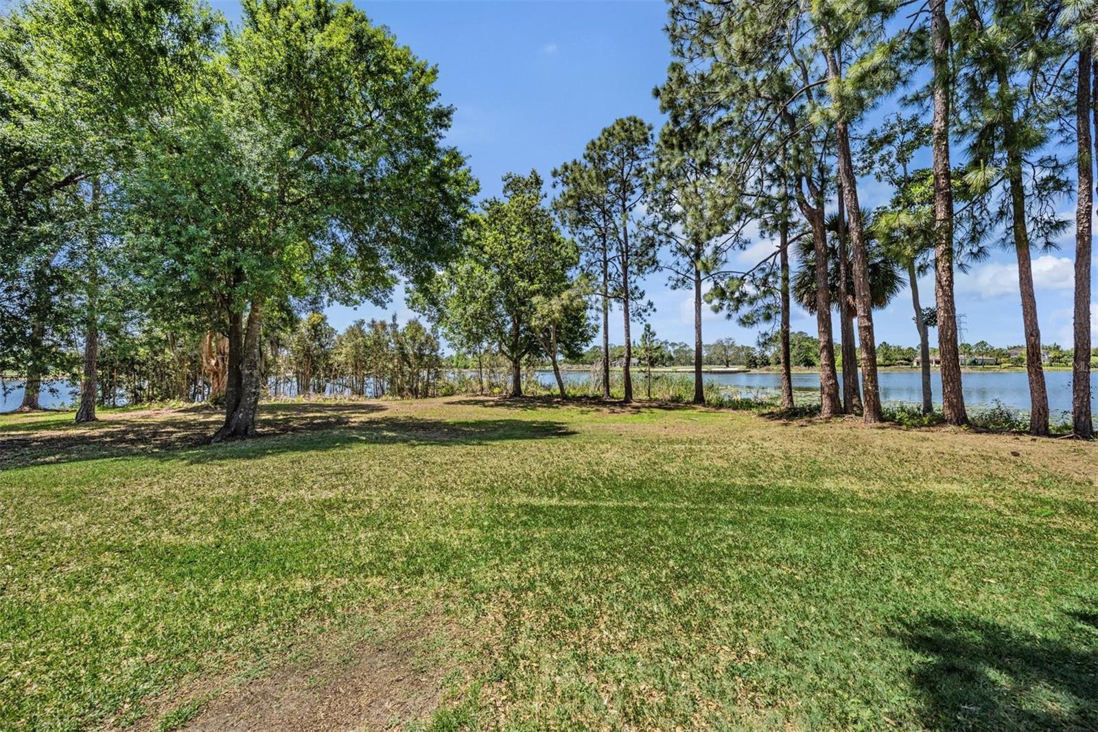 9134 TILLINGHAST DR — photo 57