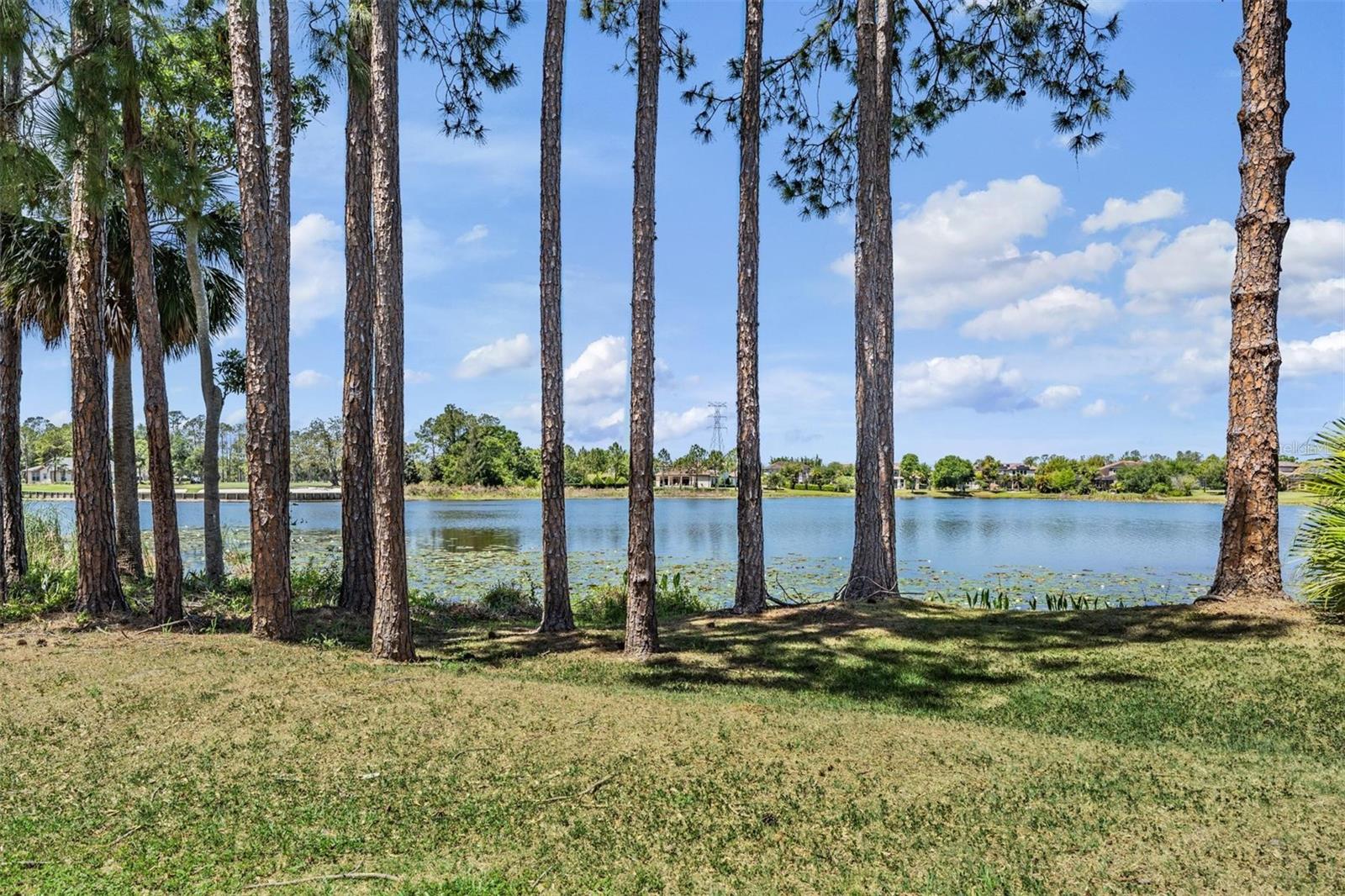 9134 TILLINGHAST DR — photo 58