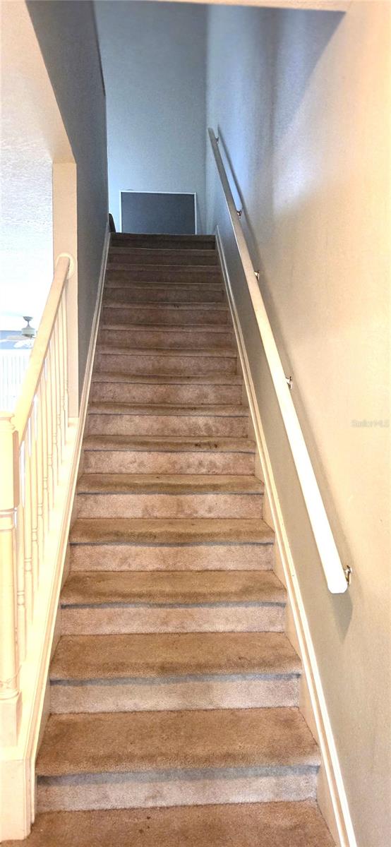 2729 CONCH HOLLOW DR — photo 13
