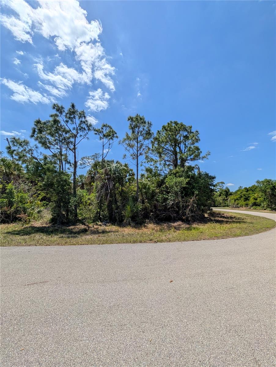 2515 COLONY CIR — photo 5