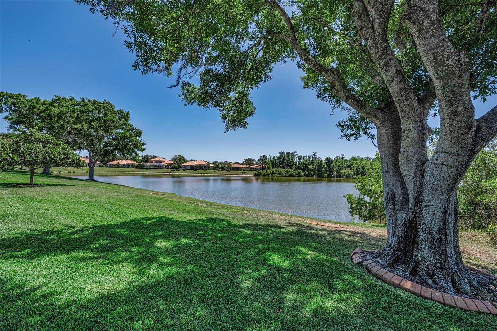 10706 RUFFINO CT — photo 73
