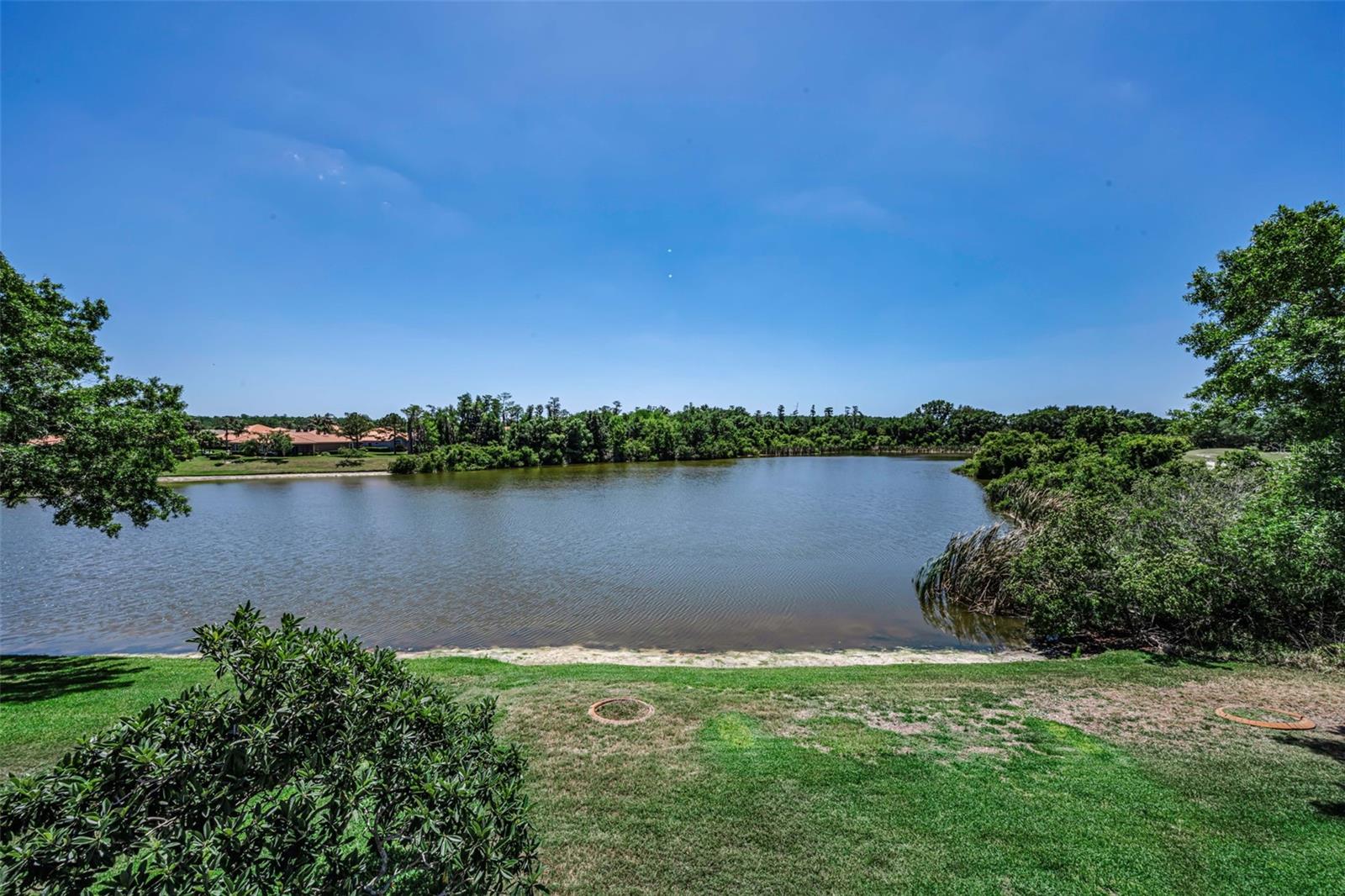 10706 RUFFINO CT — photo 46