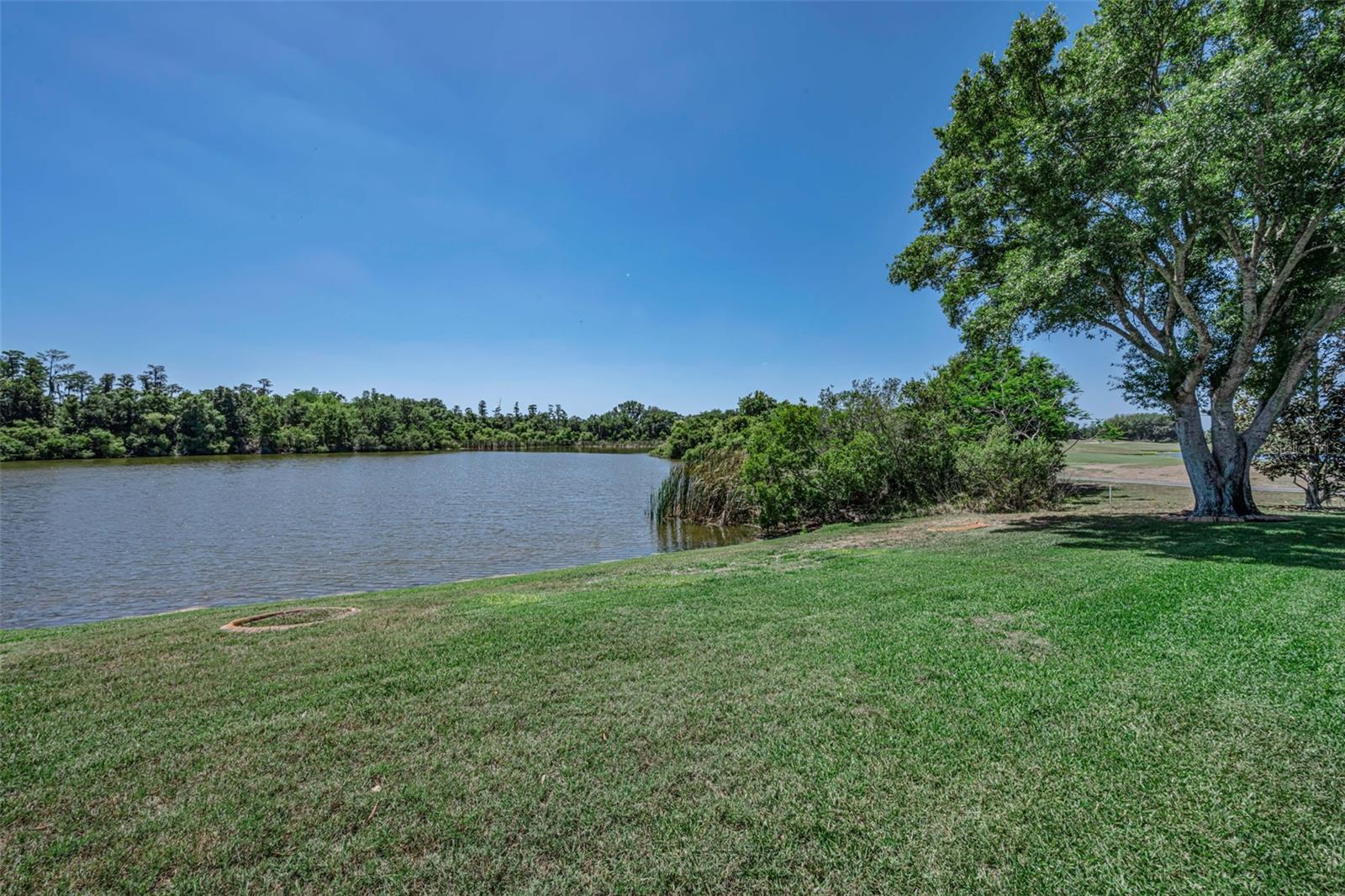 10706 RUFFINO CT — photo 79