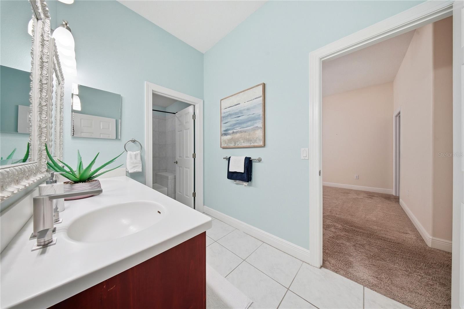 510 MIRABAY BLVD — photo 43