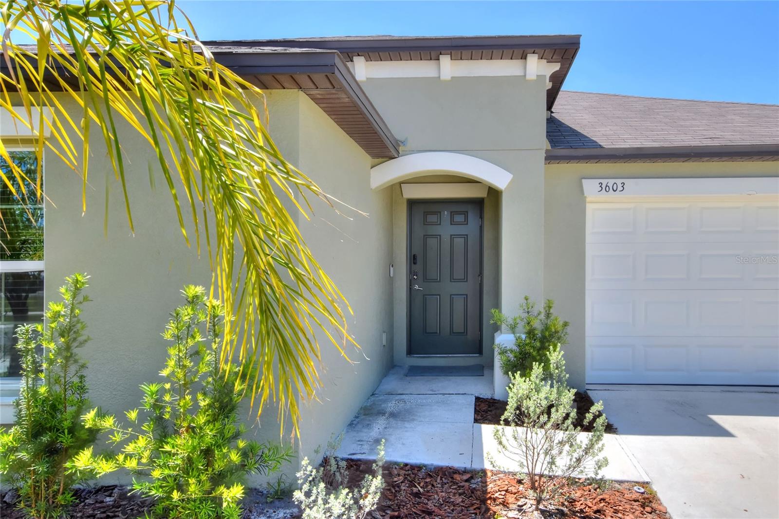 3603 NATURAL TRACE ST — photo 5
