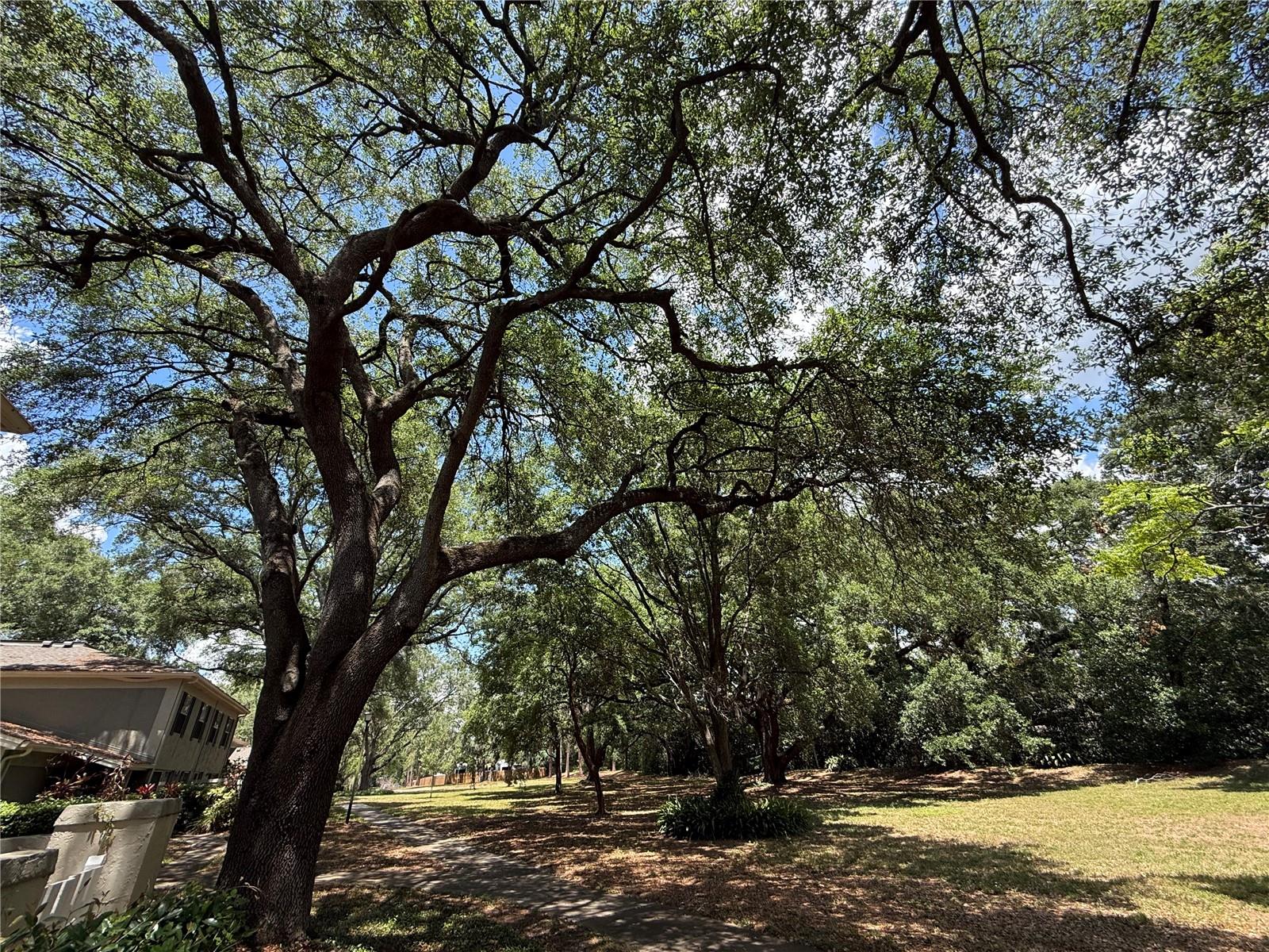 6322 TREETOP CIR — photo 30