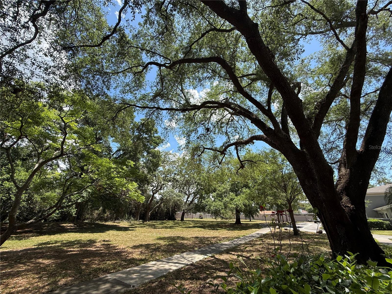 6322 TREETOP CIR — photo 33
